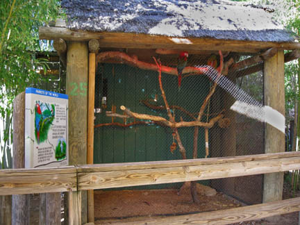 bad parrot cage - Feb 2012