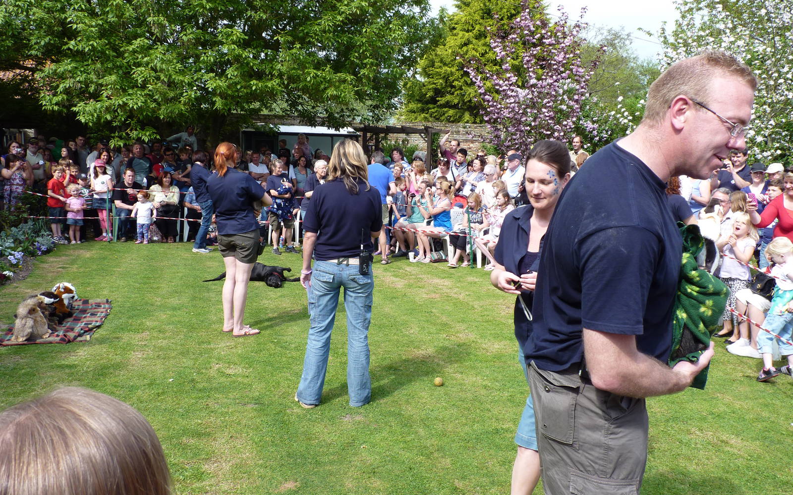 Badger Bonanza on the Lawn at Secret World Wildlife Rescue