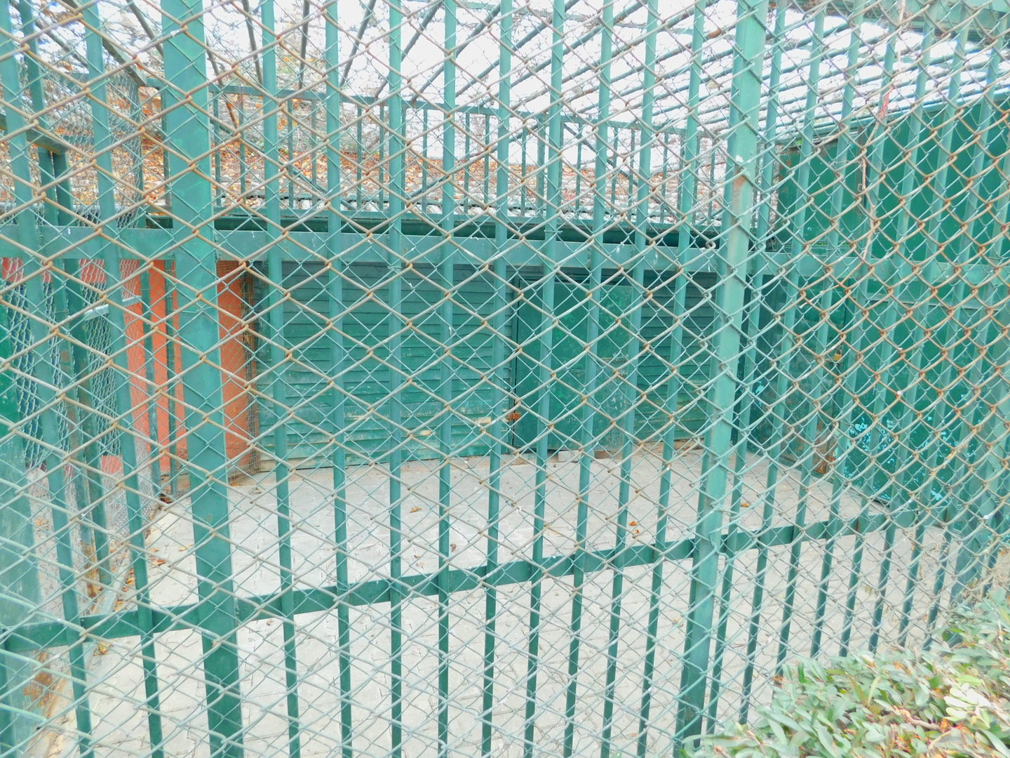 Badger Enclosure at the Karatay Zoo