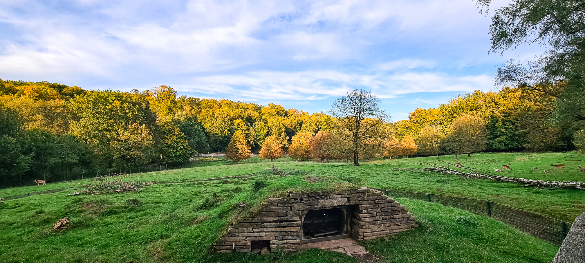 Badger enclosure with fallow deer in the background