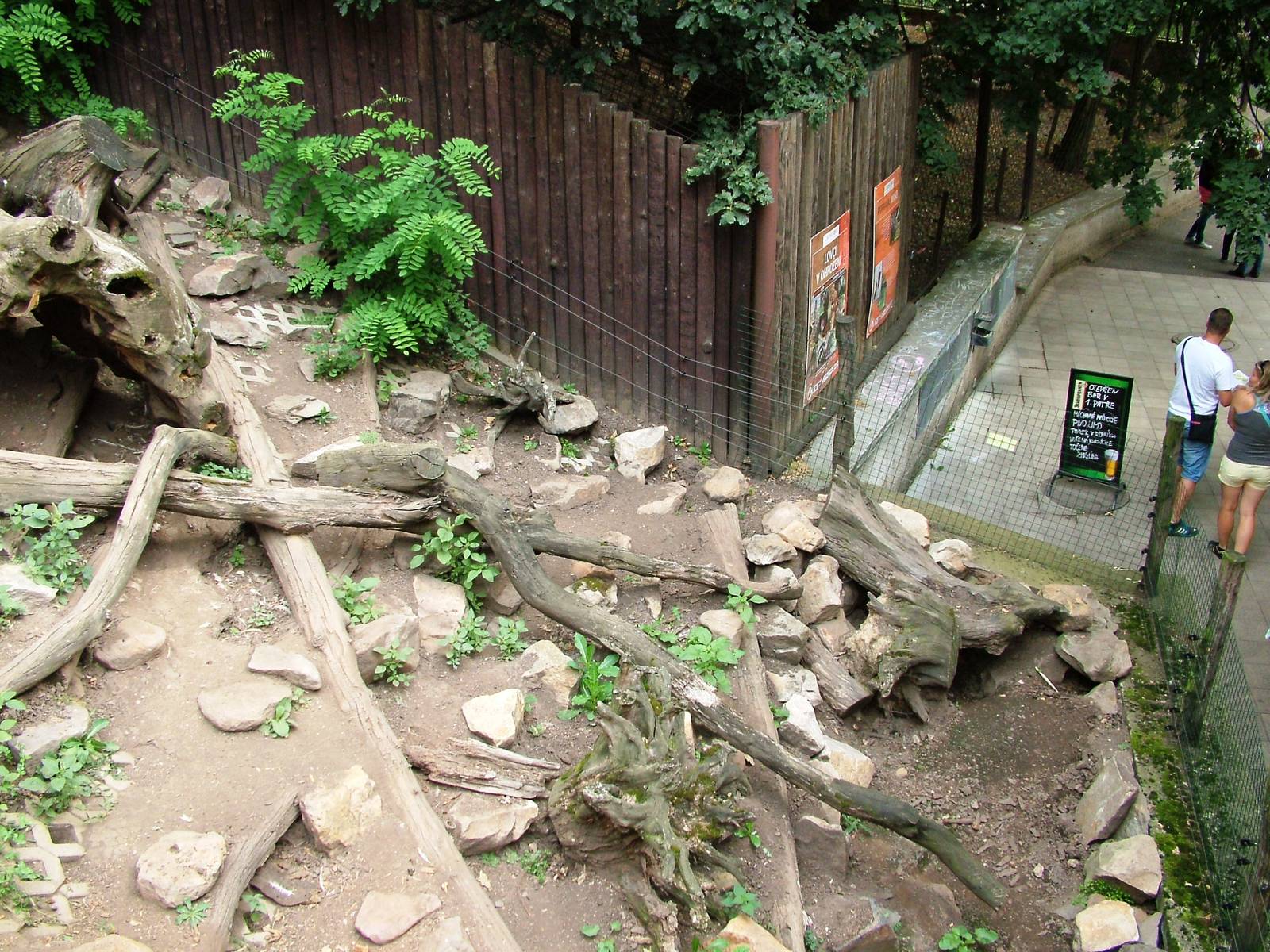 Badger Exhibit at Chomutov, 30/08/12