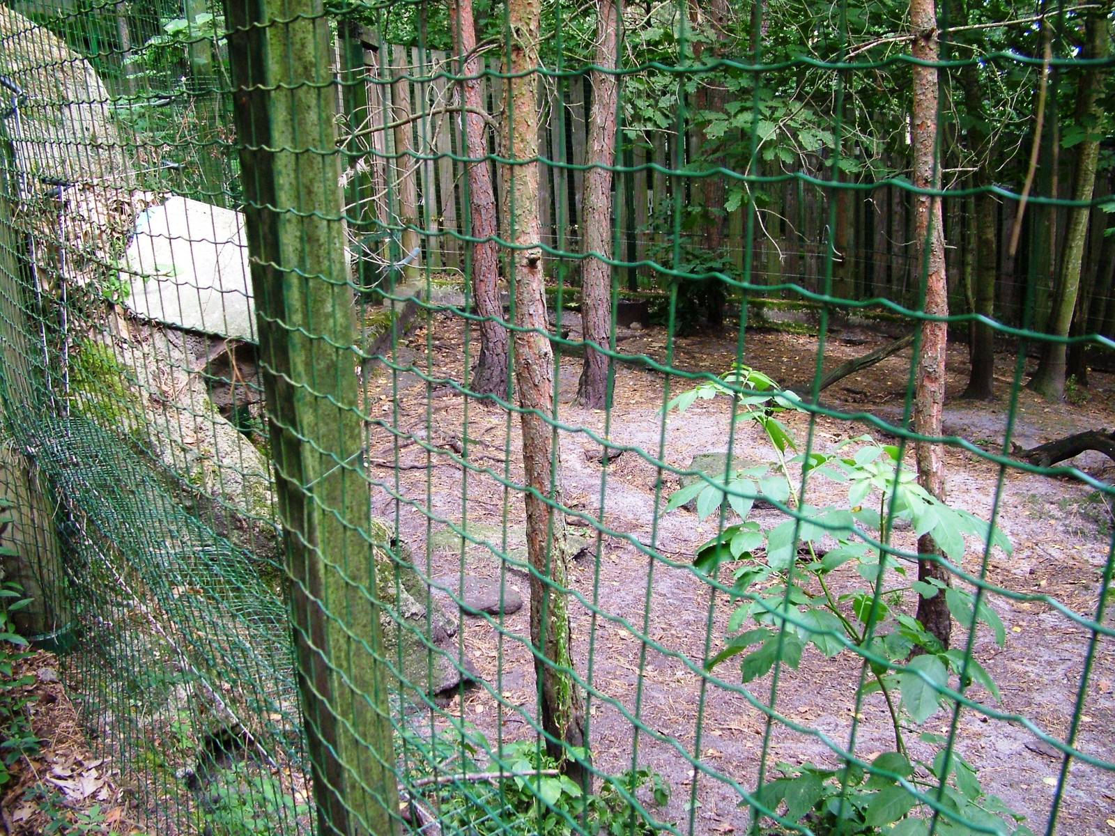 Badger Exhibit at Decin, 28/08/12