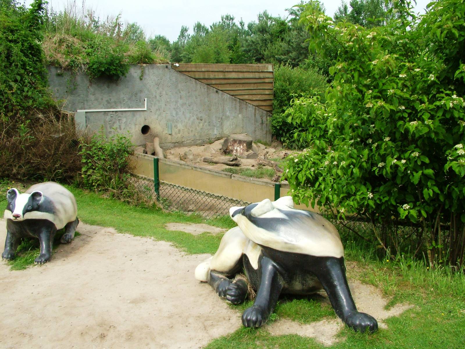 Badger Exhibit at Dierenrijk, 31/05/12