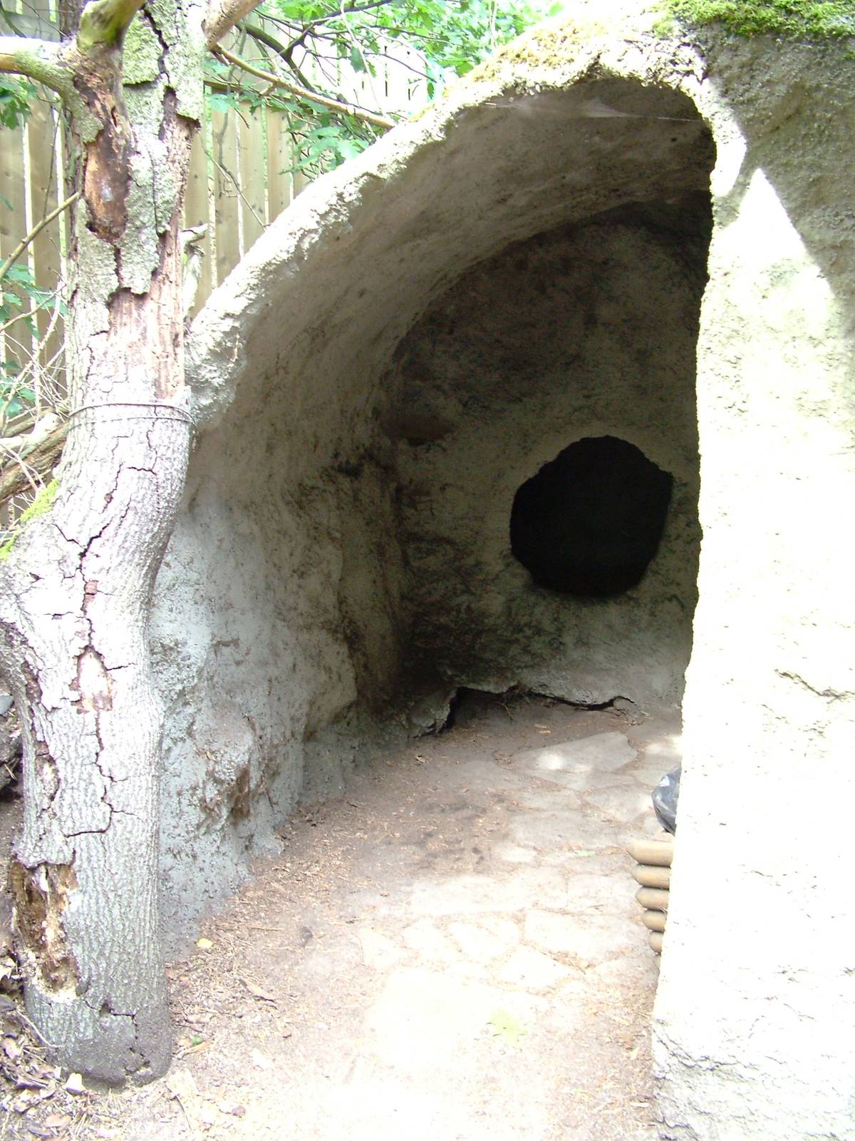 Badger Exhibit Sett Viewing at Decin, 28/08/12