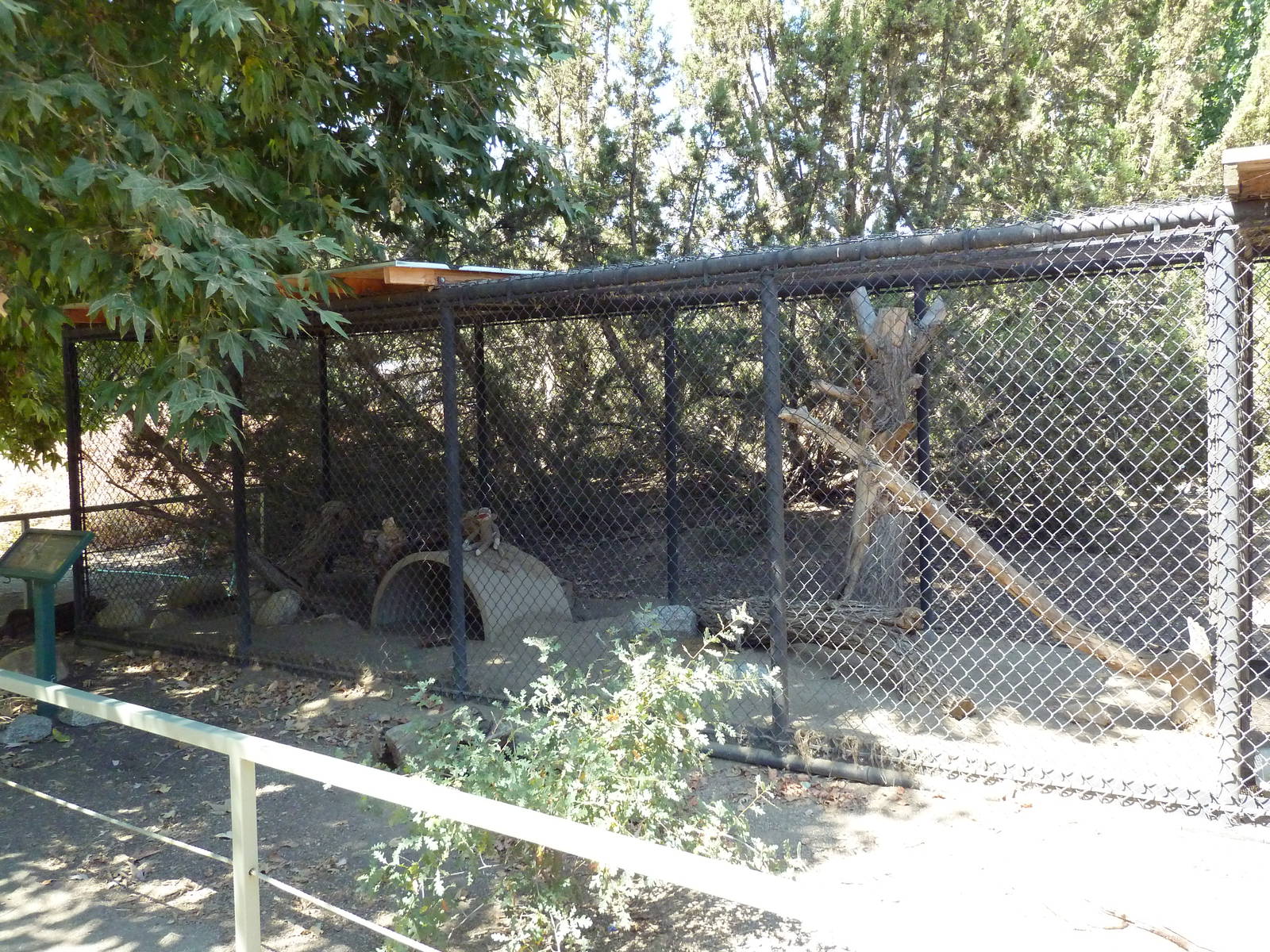 Badger Exhibit