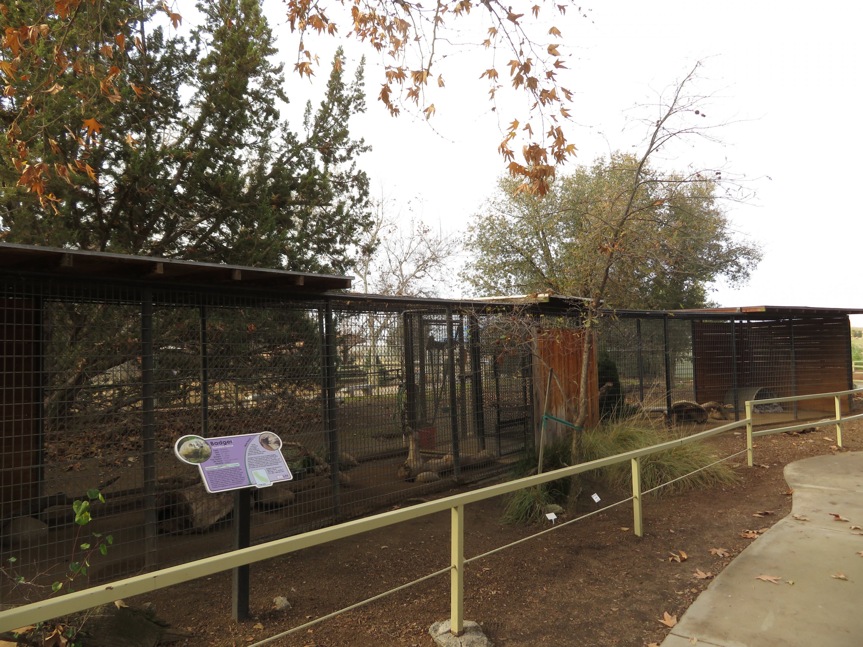 Badger Exhibit