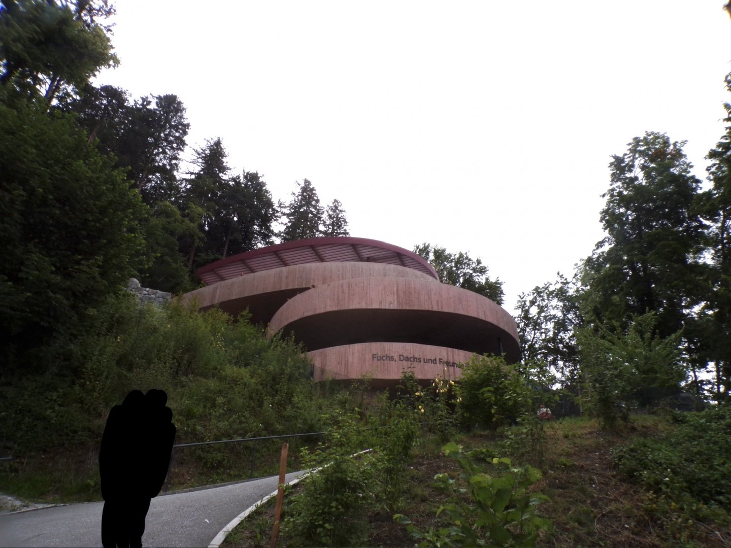 Badger, fox and wolf building 9.7.25