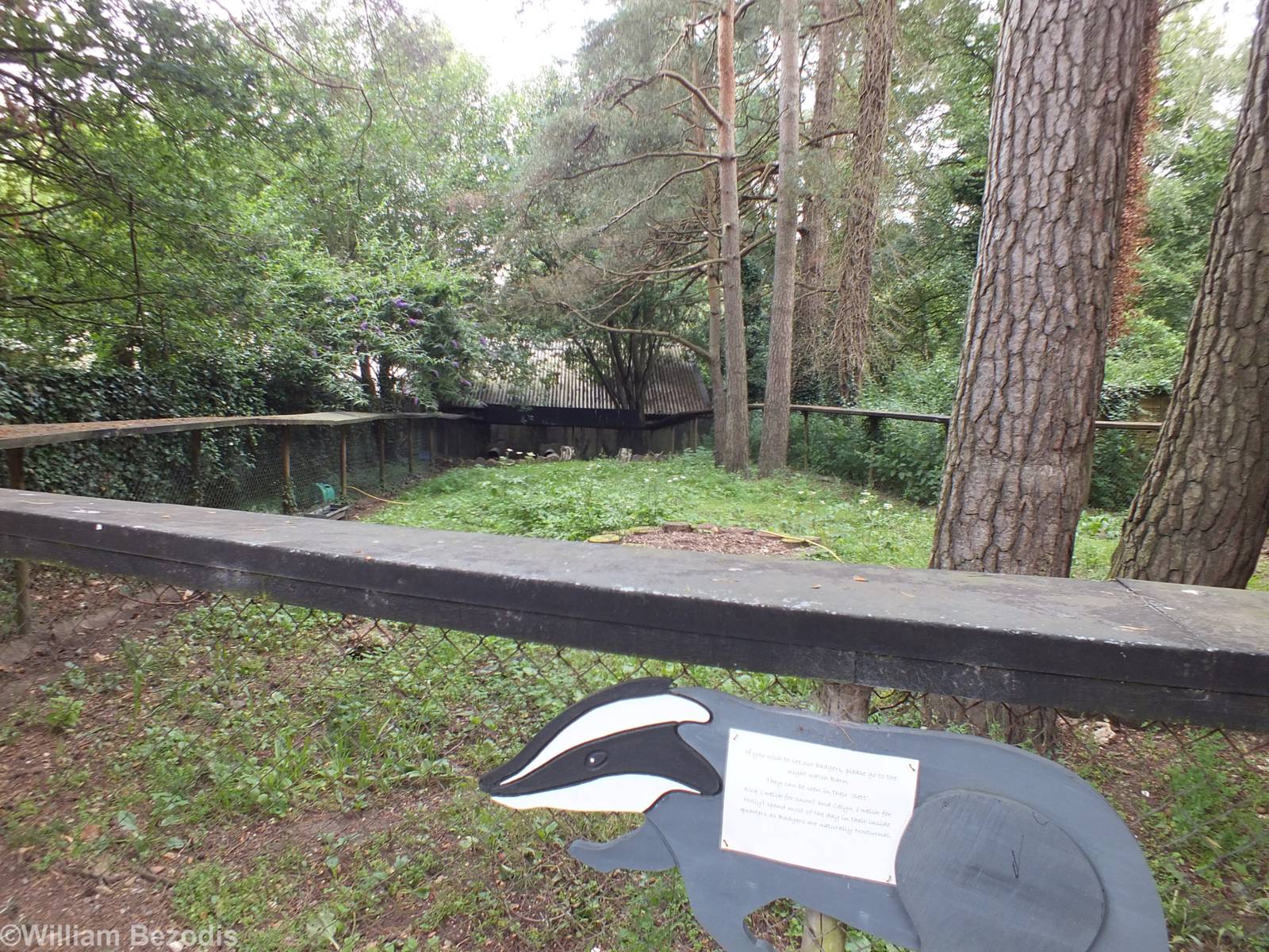 Badger Outdoor Enclosure