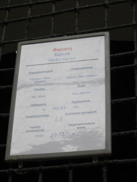 badger panel( Armenia ) Yerevan zoo