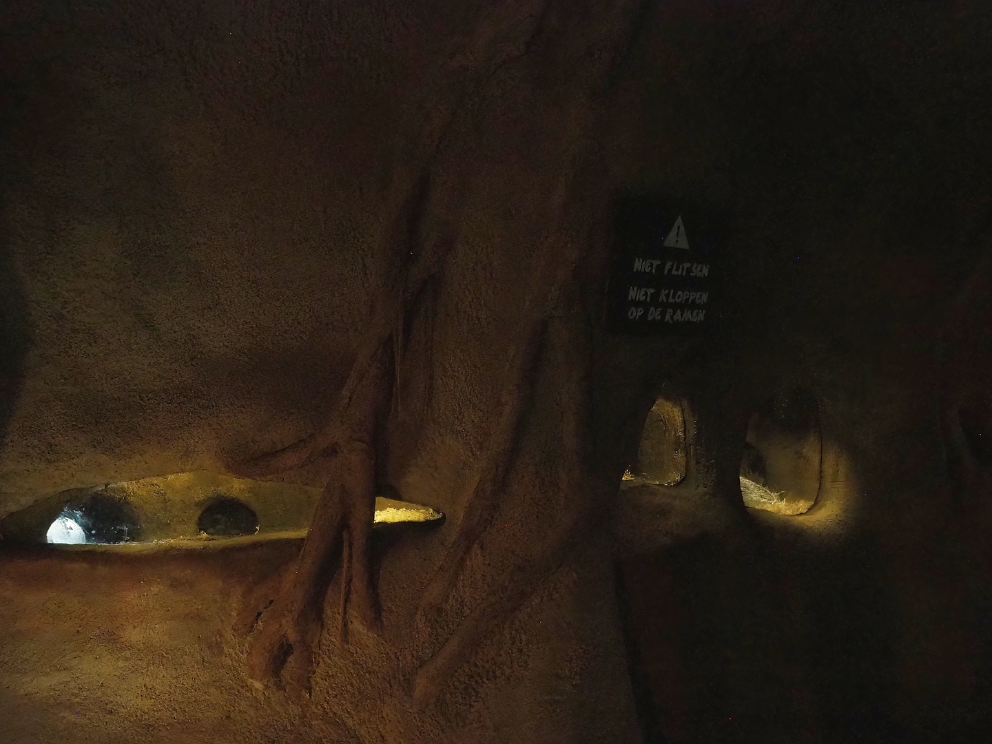 Badger sett, 2023-09-24