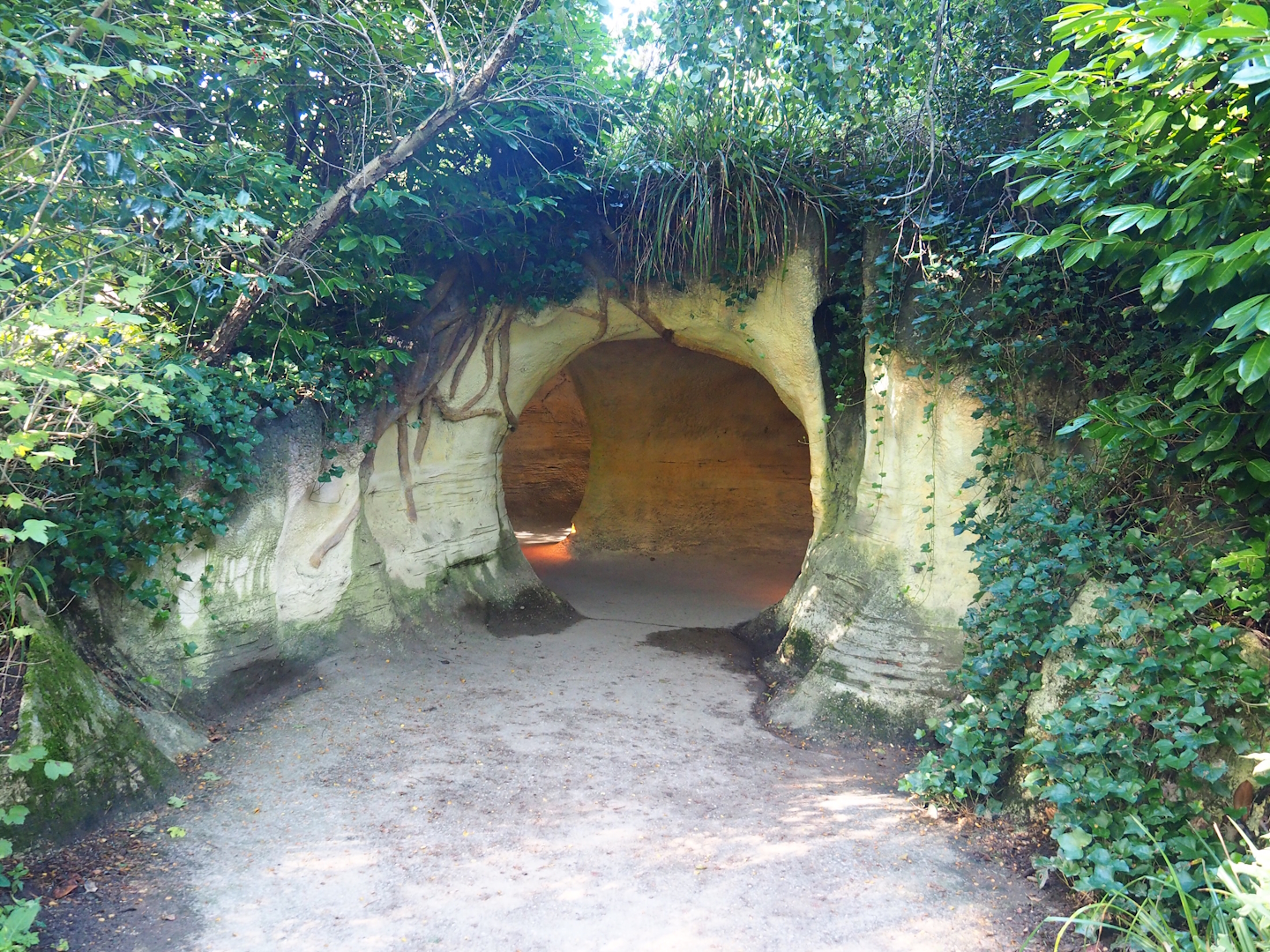 Badger sett visitor area, 2023-09-24