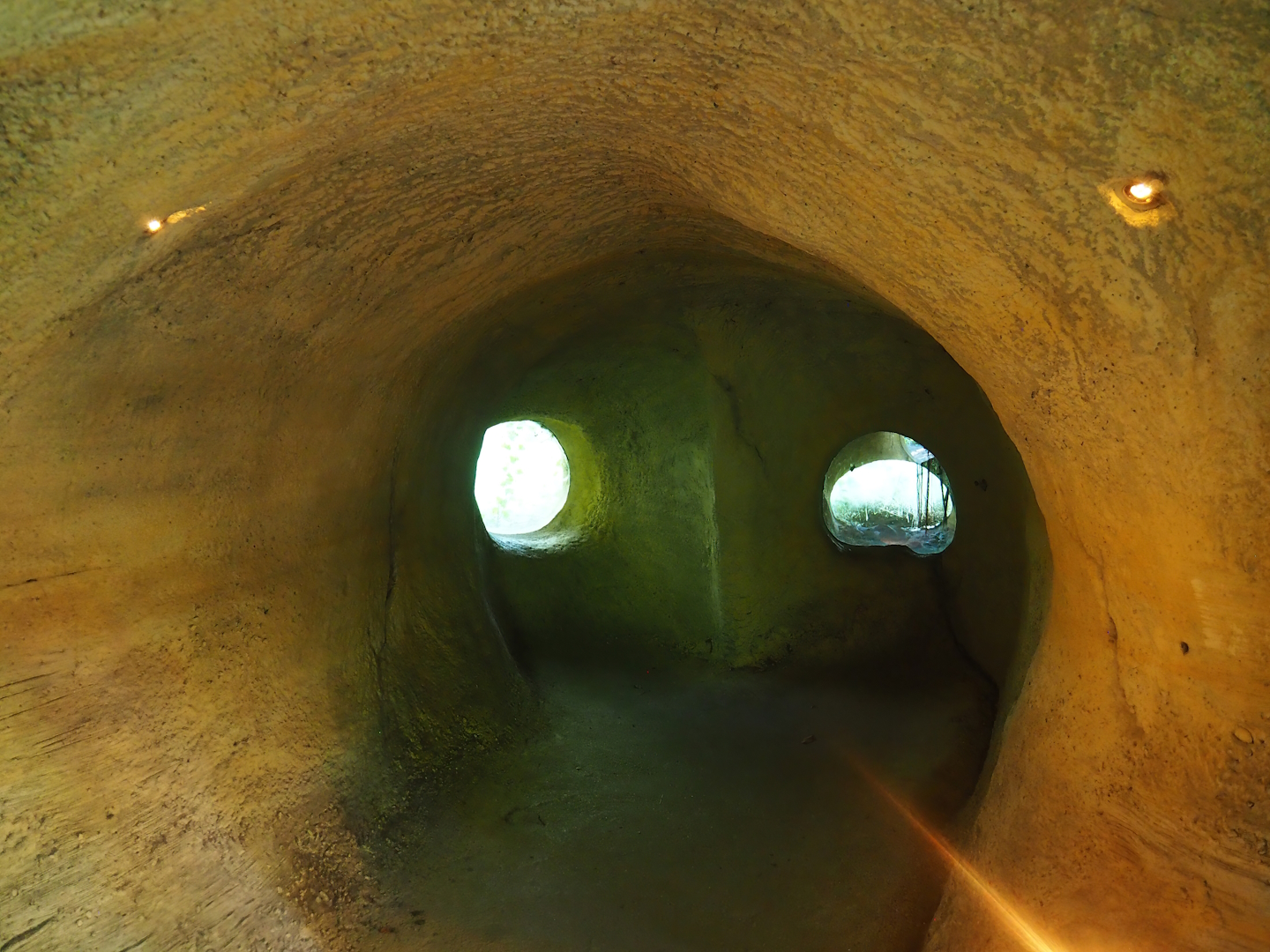 Badger sett visitor area, 2023-09-24