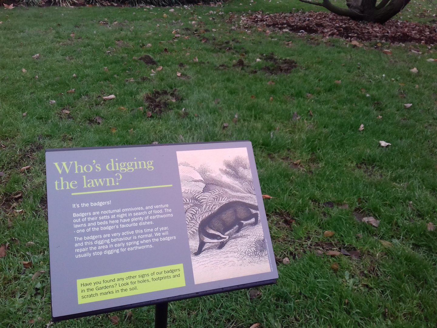 Badger signs - Royal Botanic Gardens, Kew