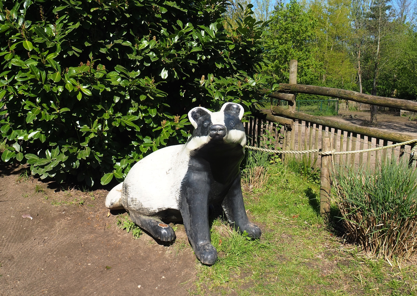 Badger statue, 2023-04-30