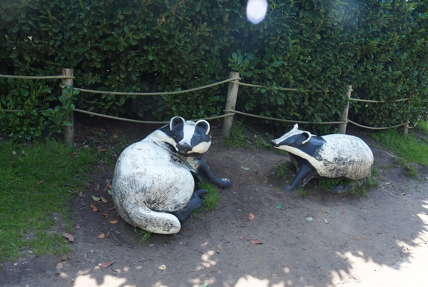 Badger statues, 2023-04-30