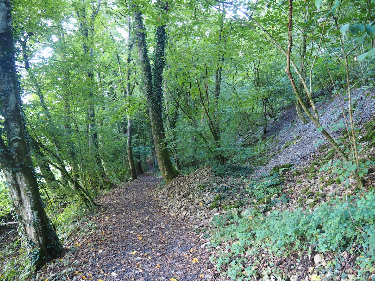 "Badger Trail" - Walking trail to the wildlife park, 2023-09-26