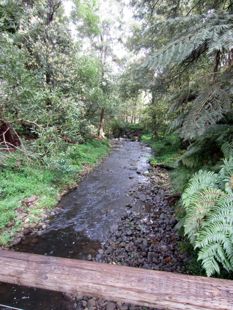 Badger's Creek