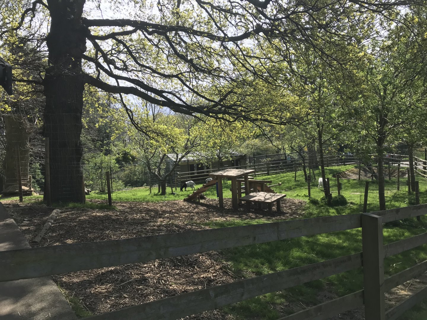 Bagot goat enclosure