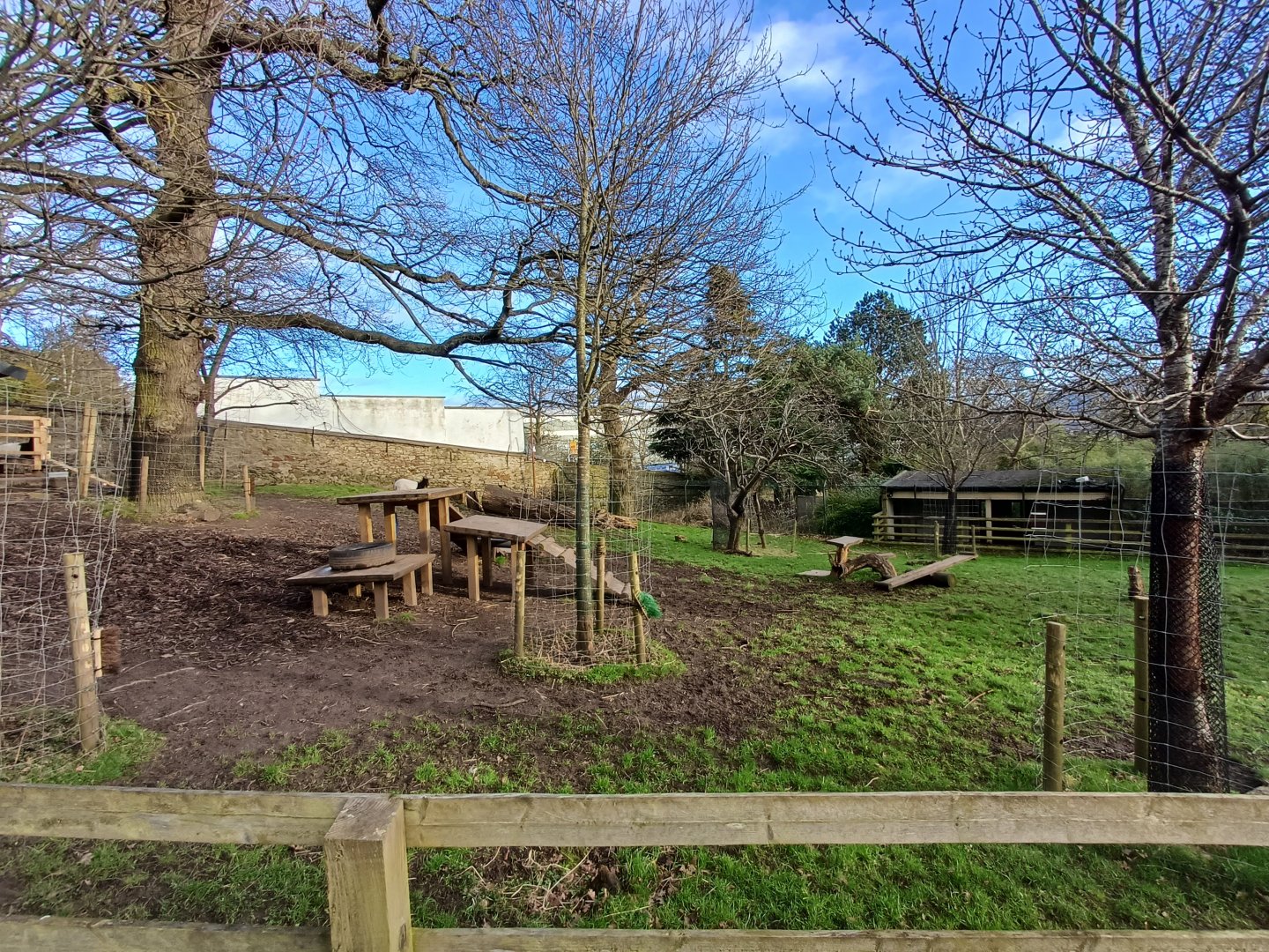 Bagot Goat- enclosure