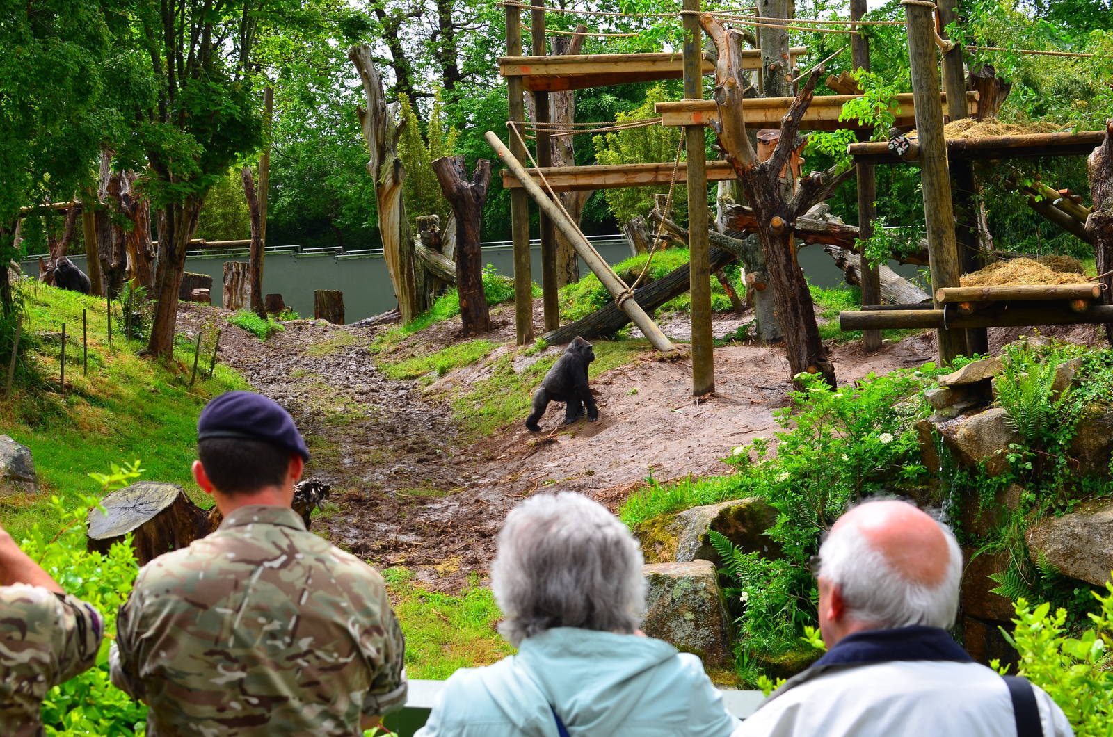 Bahasha approaches the new outdoor gym