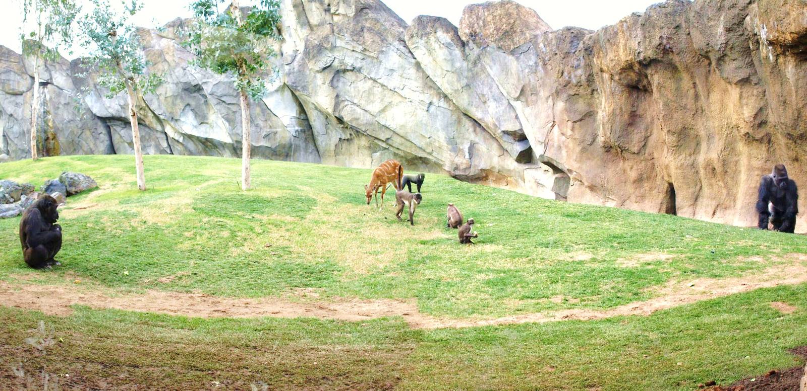 "Bai" panoramic view