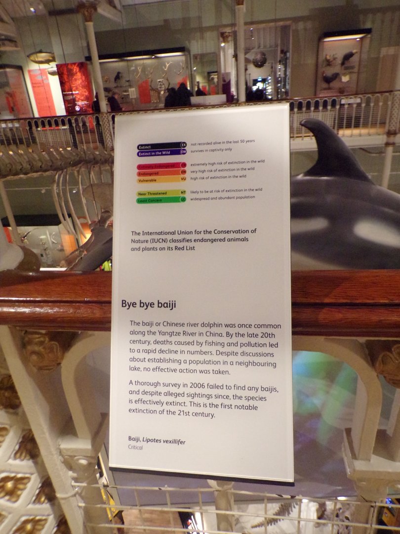 Baiji signage 30.12.22