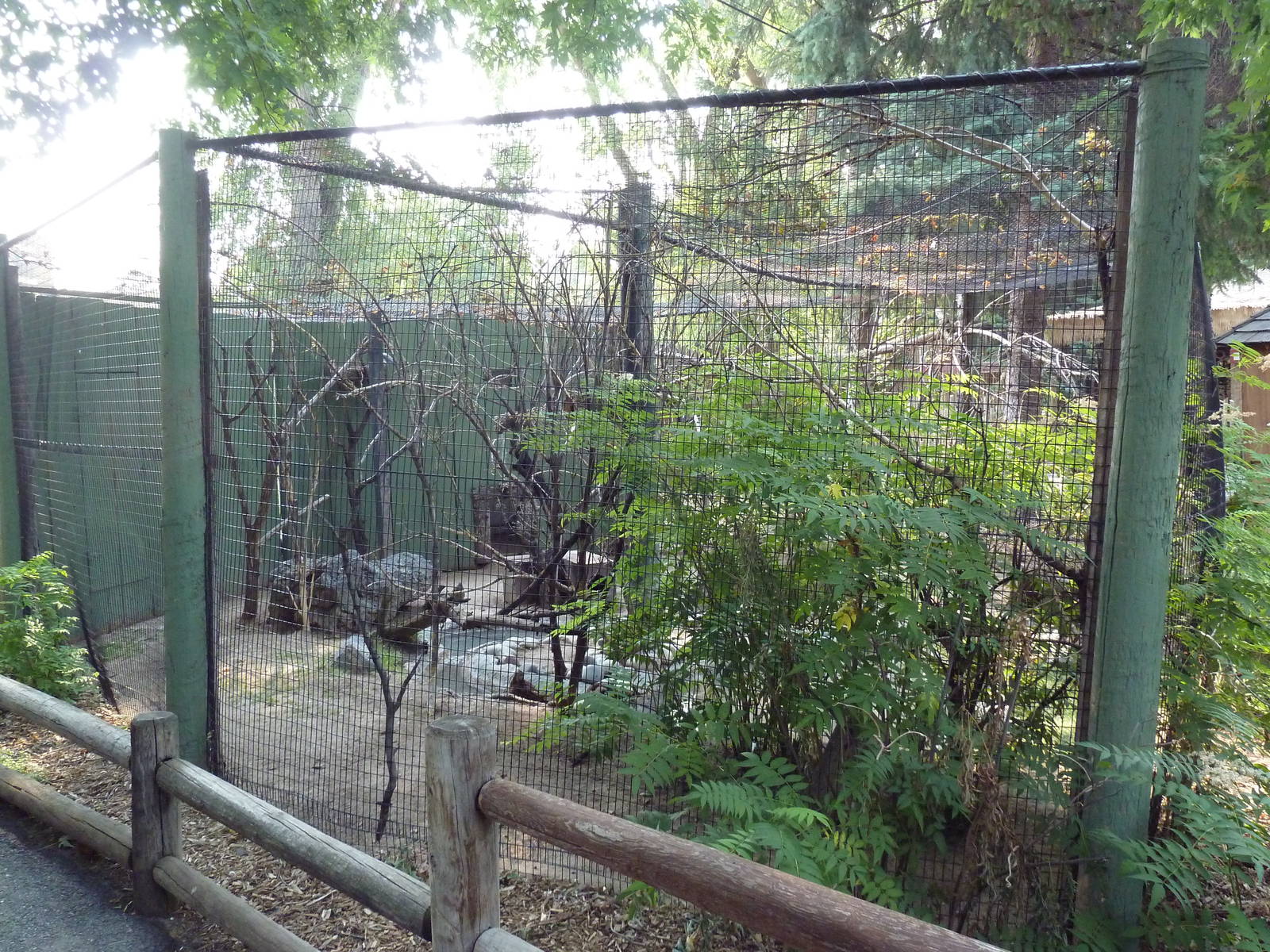 Baikal Teal/Azure-Winged Magpie/Temminck's Tragopan Exhibit