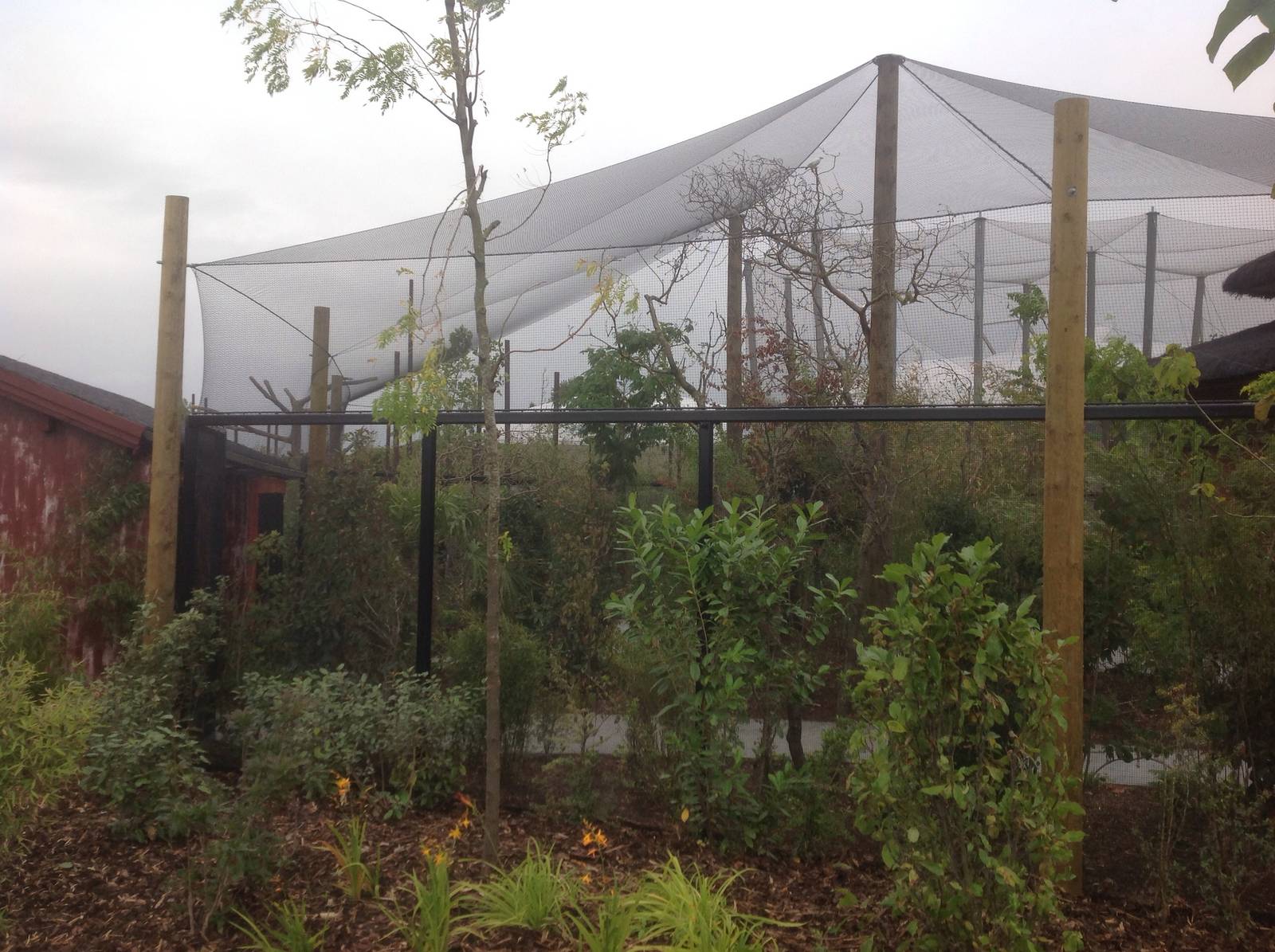 Bail starling temple