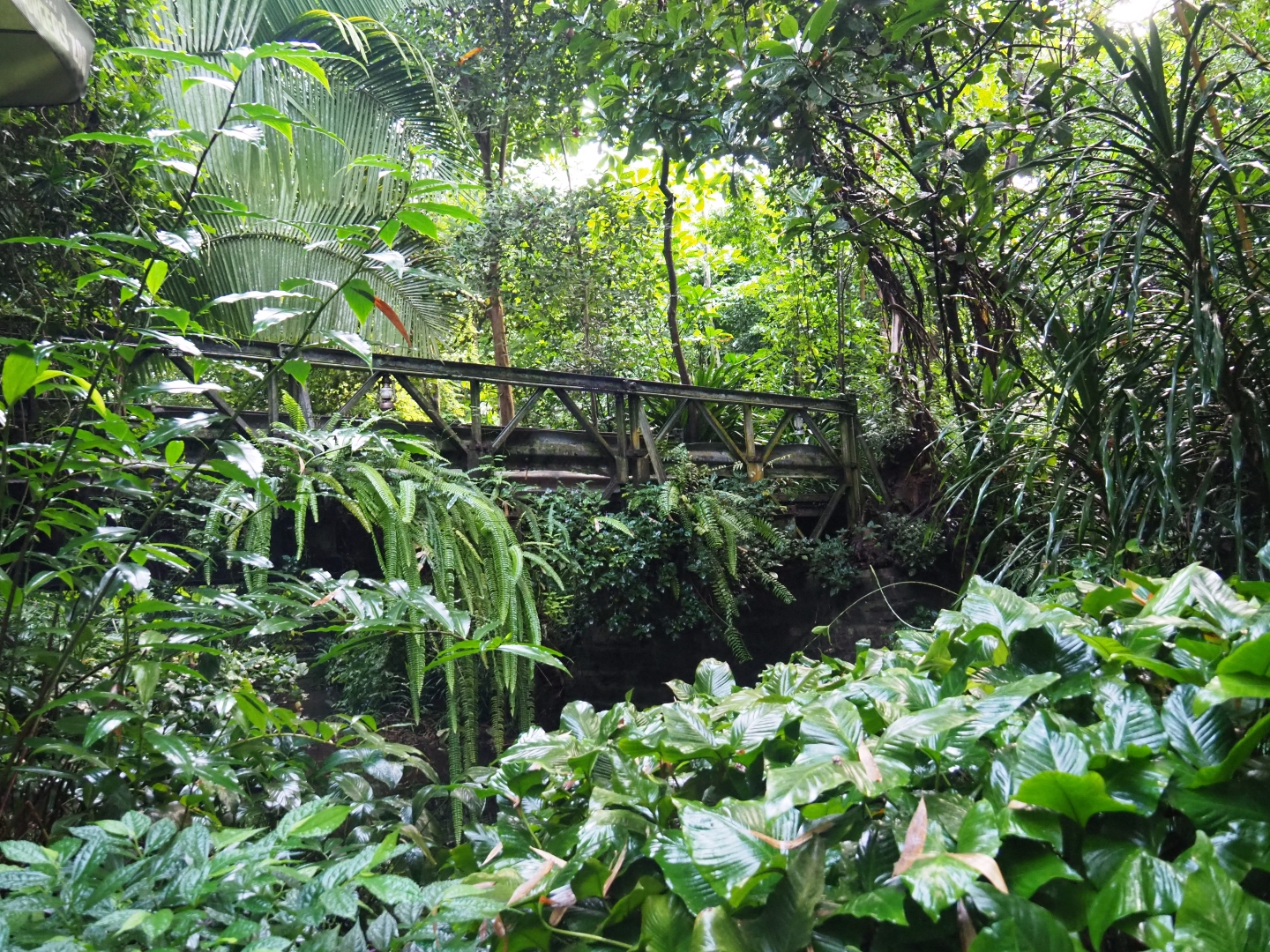 Bailey bridge and foliage (Sep 16th, 2018)