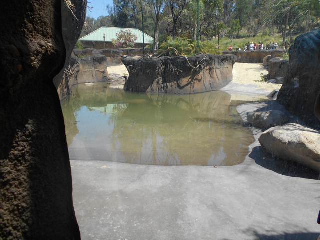 Baird's tapir and cotton-top tamarin exhibit