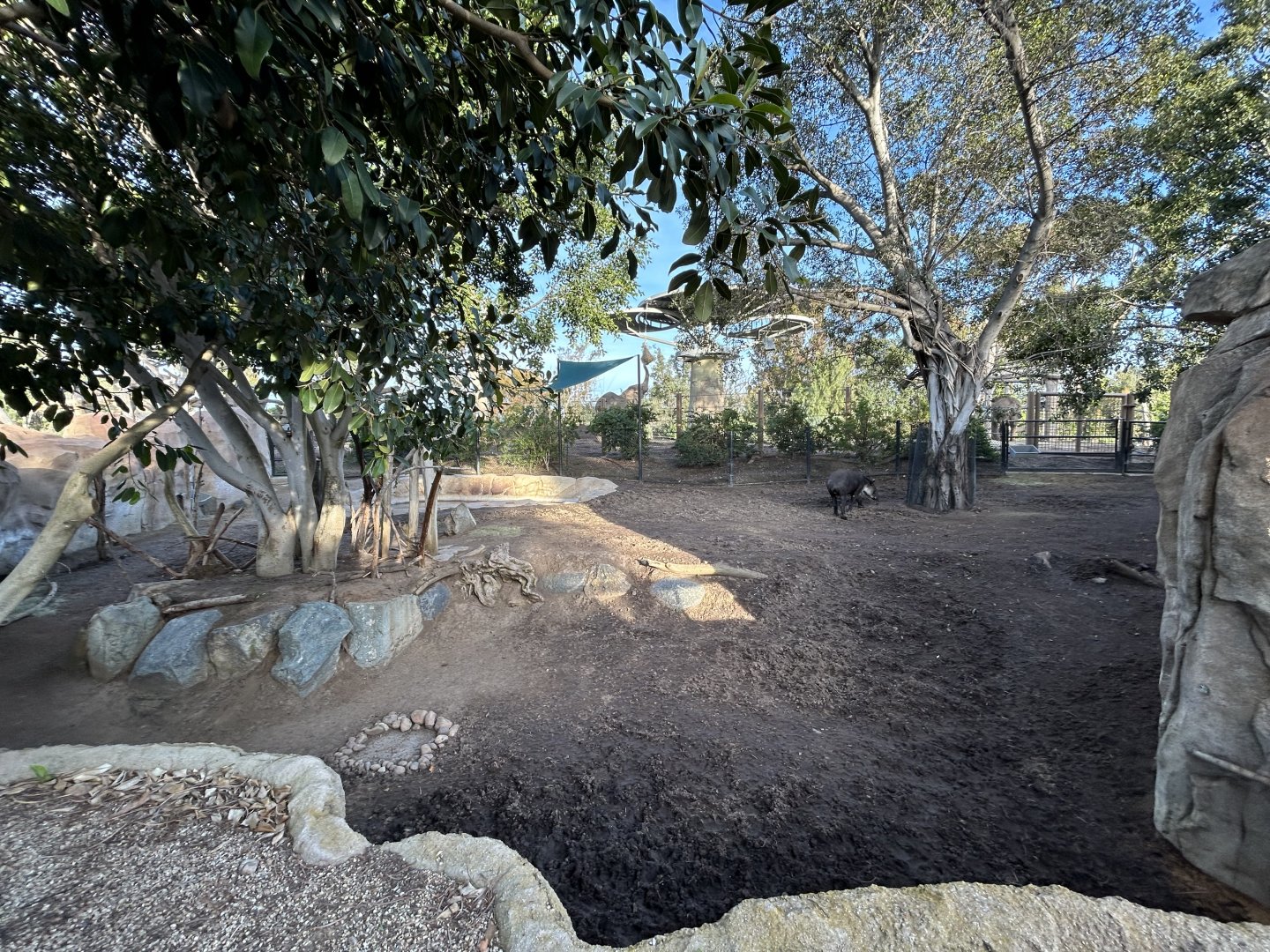 Baird’s Tapir & Capybara Exhibit #2 - Elephant Odyssey