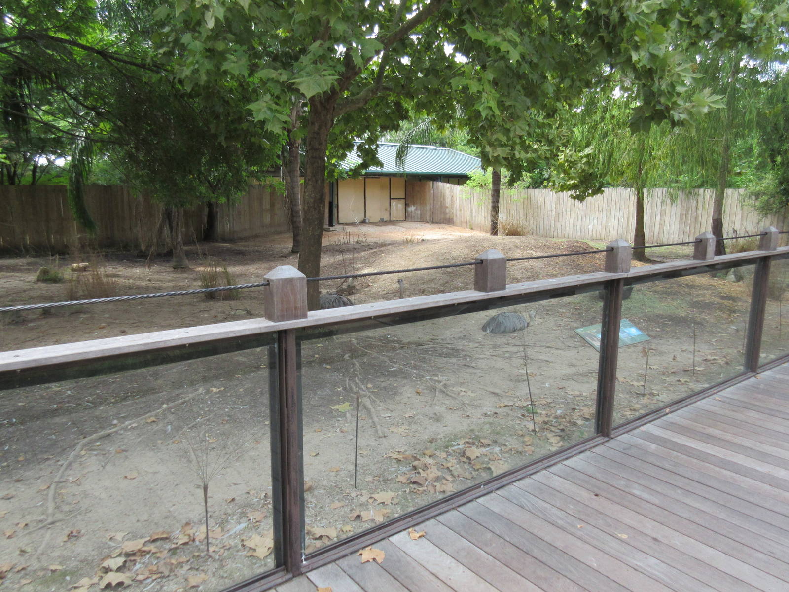 Baird's Tapir/Capybara/Greater Rhea Exhibit