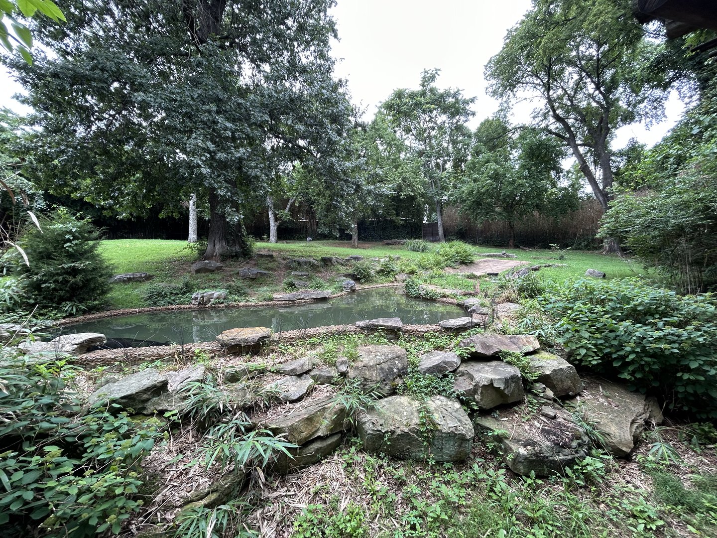 Baird’s Tapir & Crested Screamer Exhibit