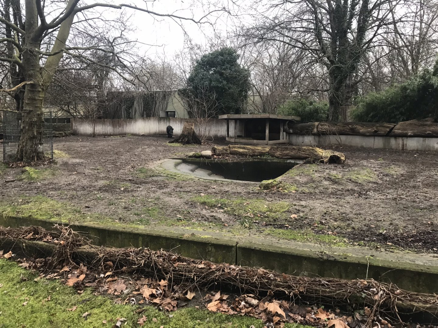 Baird’s tapir enclosure 290118