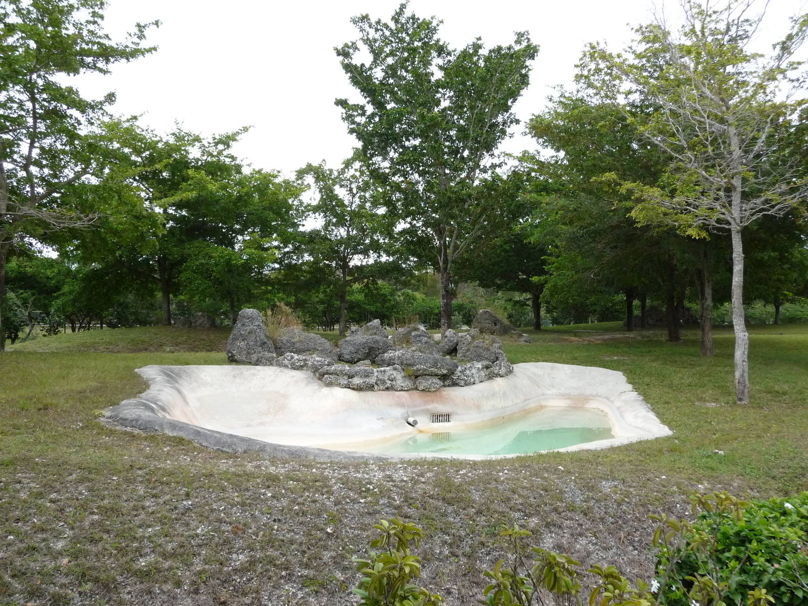 Baird's Tapir Enclosure