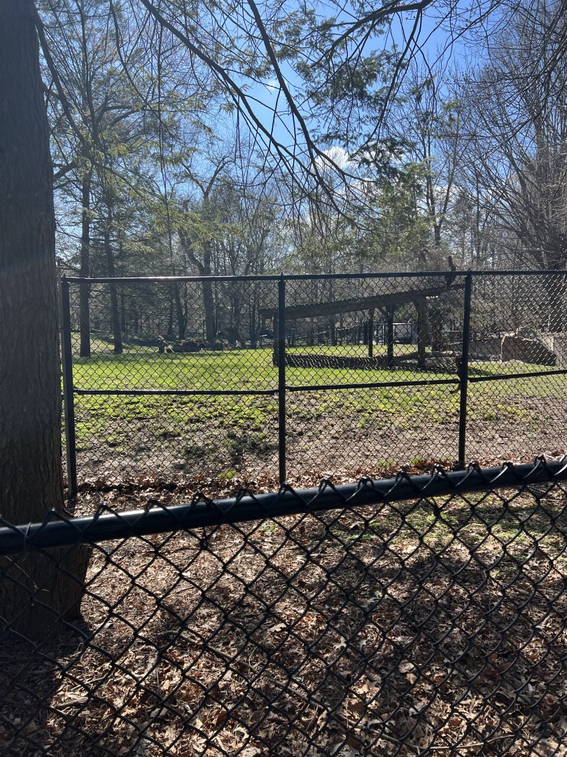 Baird’s Tapir Exhibit (outdoors)