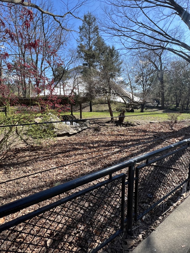 Baird’s Tapir Exhibit (outdoors)