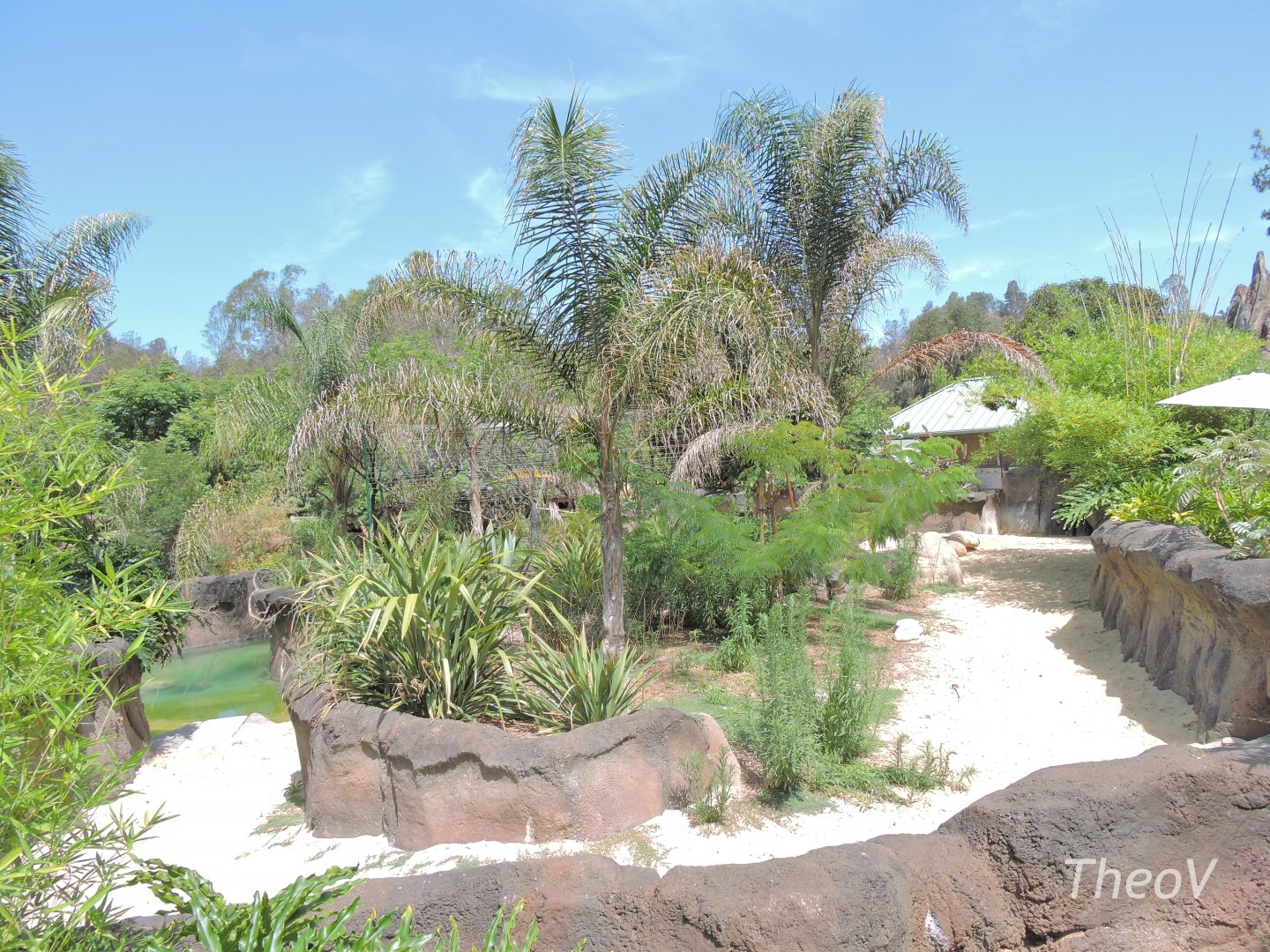 Baird's tapir exhibit - Rainforest of The Americas [2015]