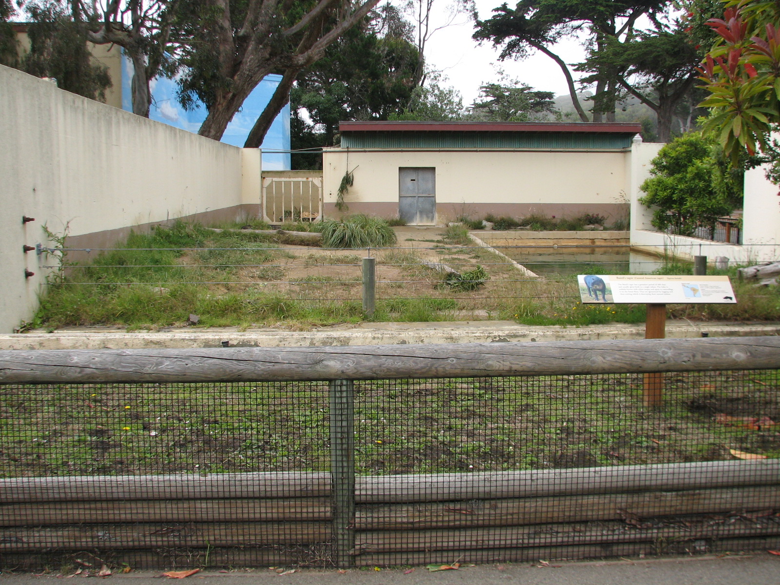 Bairds Tapir Exhibit