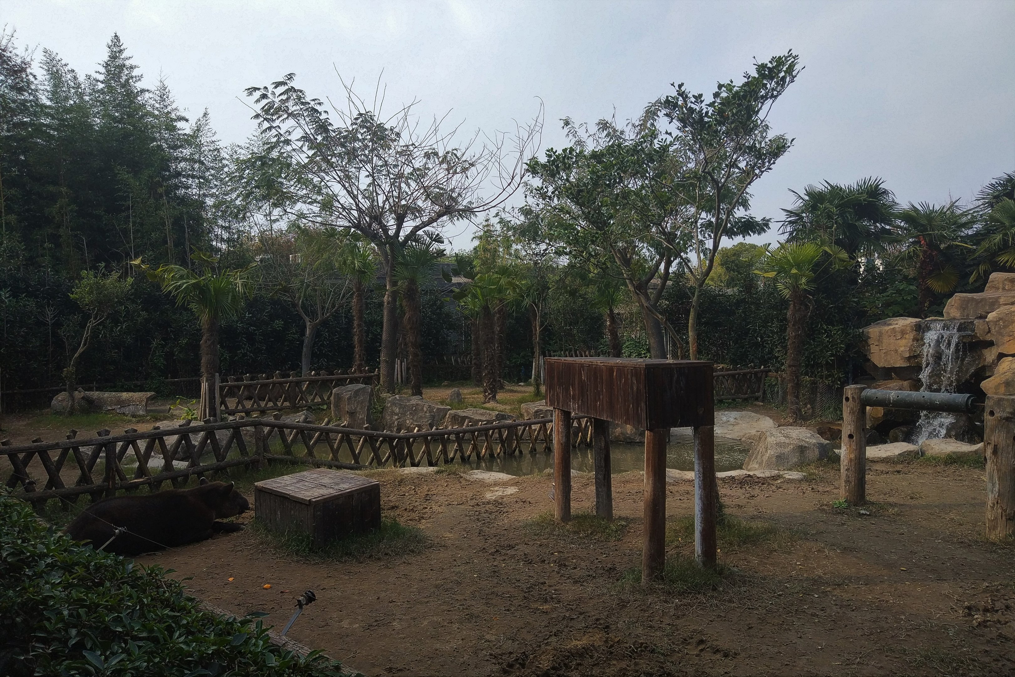 Baird's Tapir Exhibit