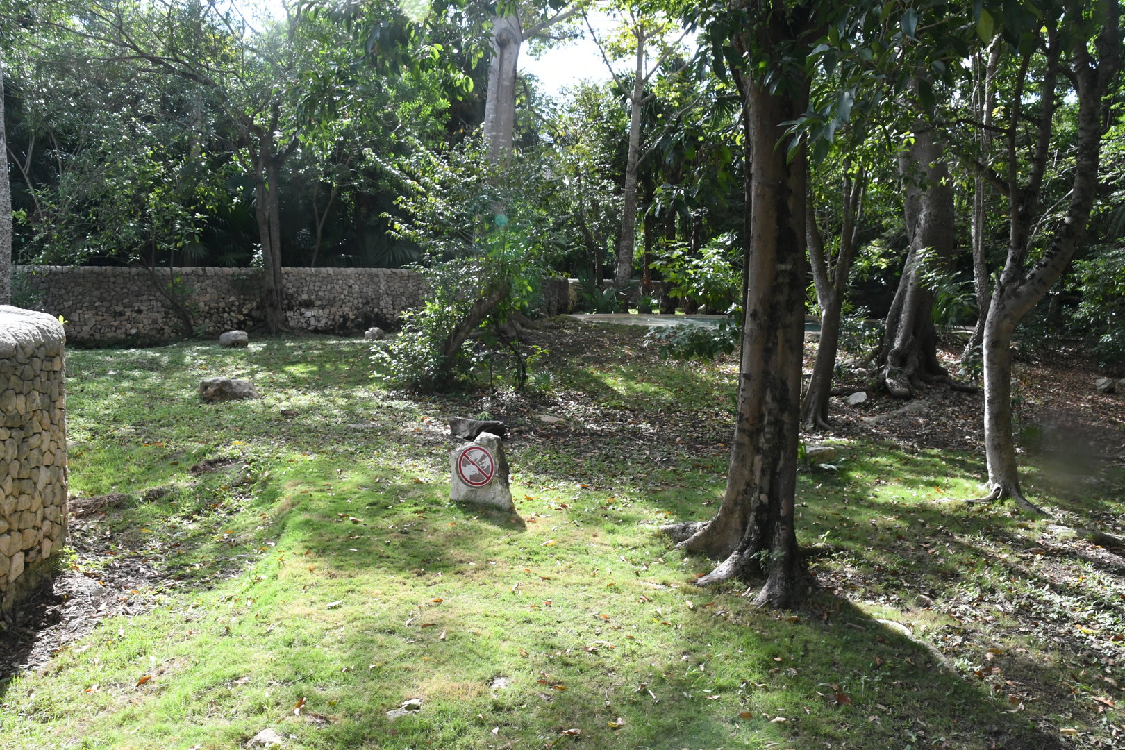 Baird's Tapir exhibit