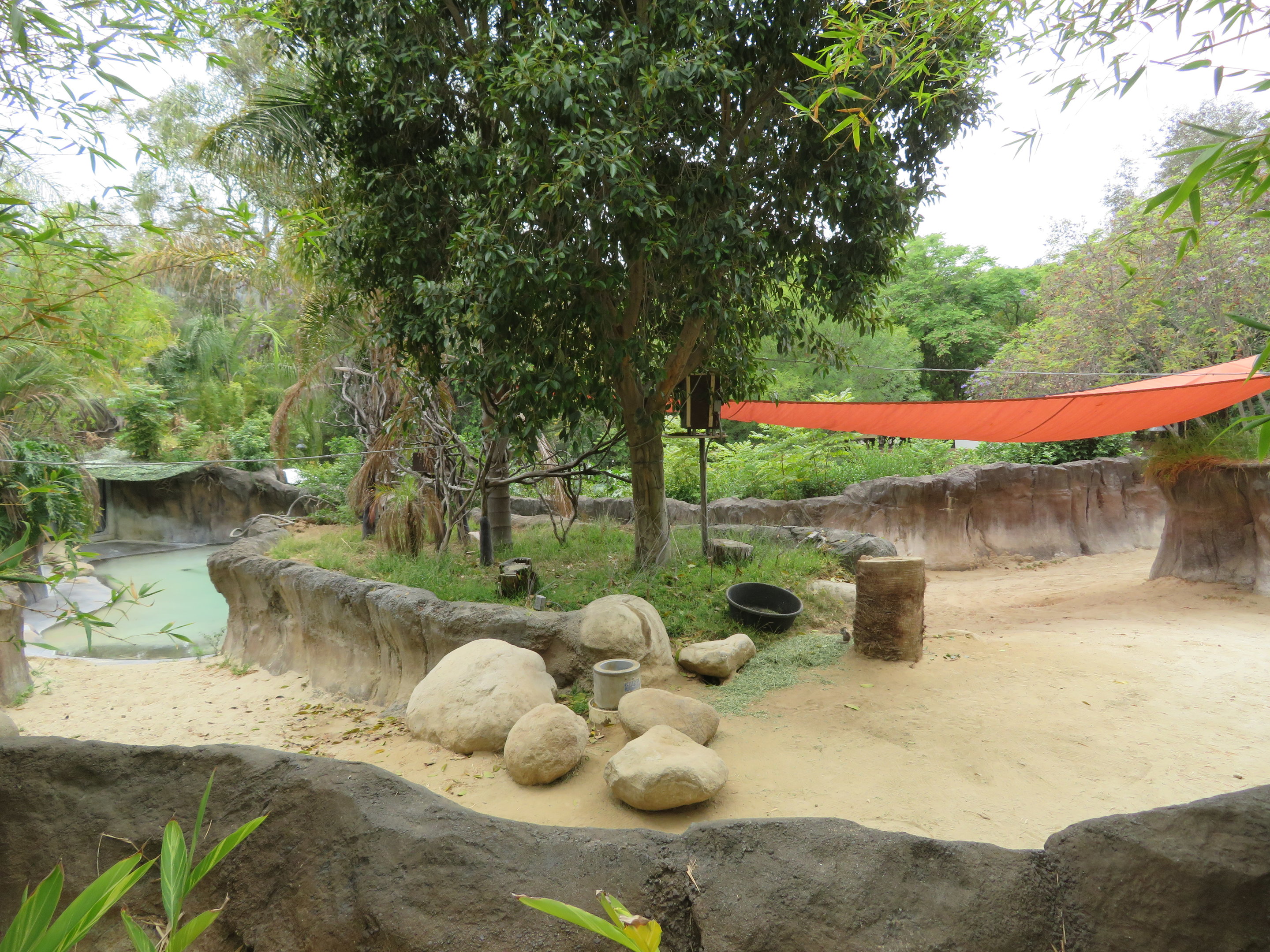 Baird's Tapir Exhibit