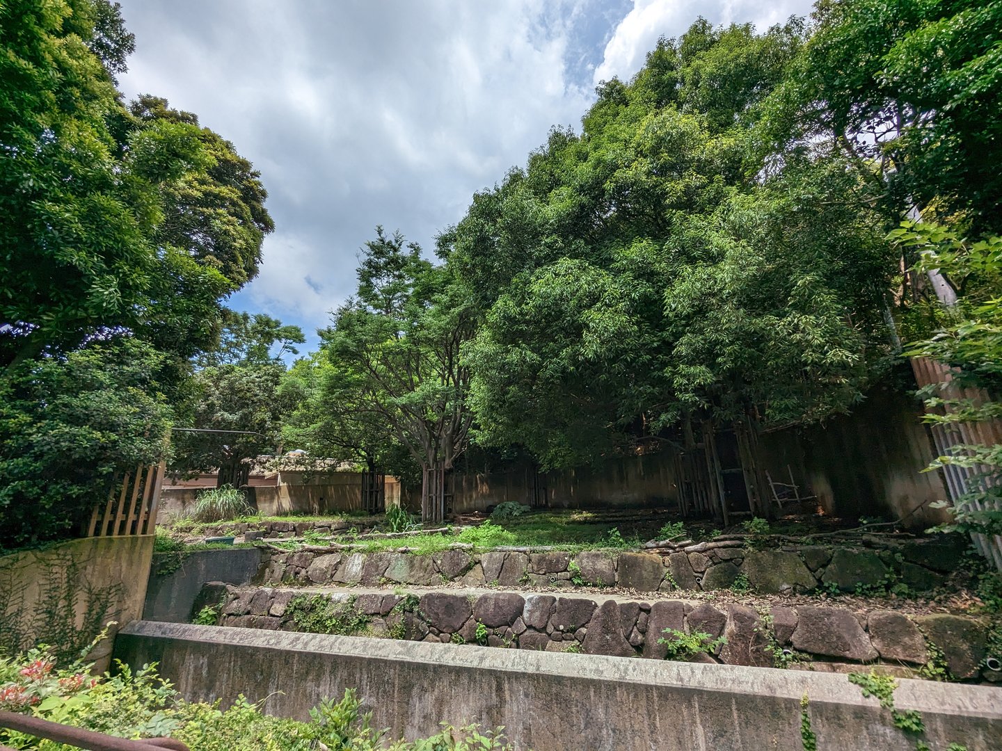 Baird's tapir Exhibit