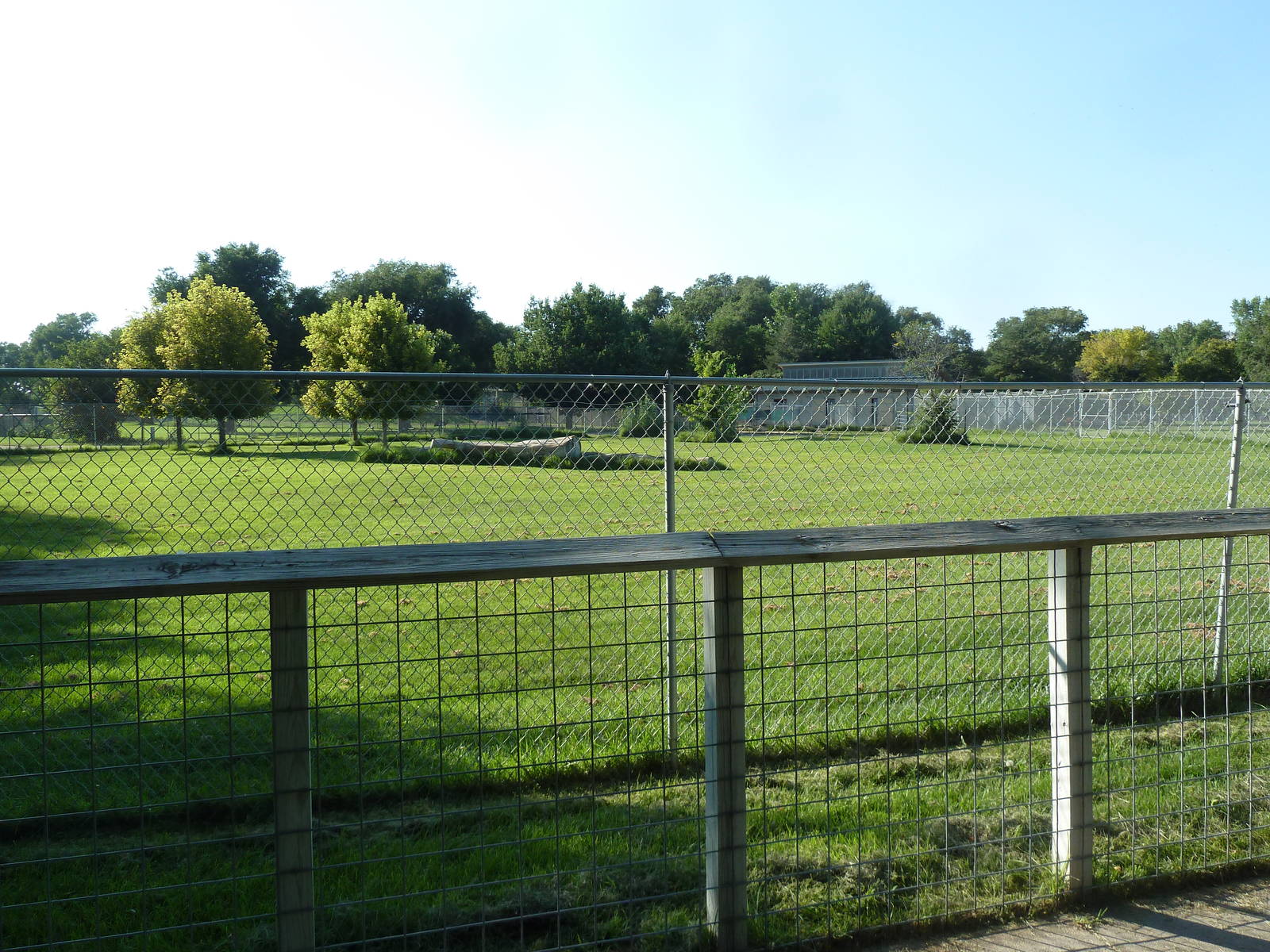 Baird's Tapir/Giant Anteater/Rhea Exhibit
