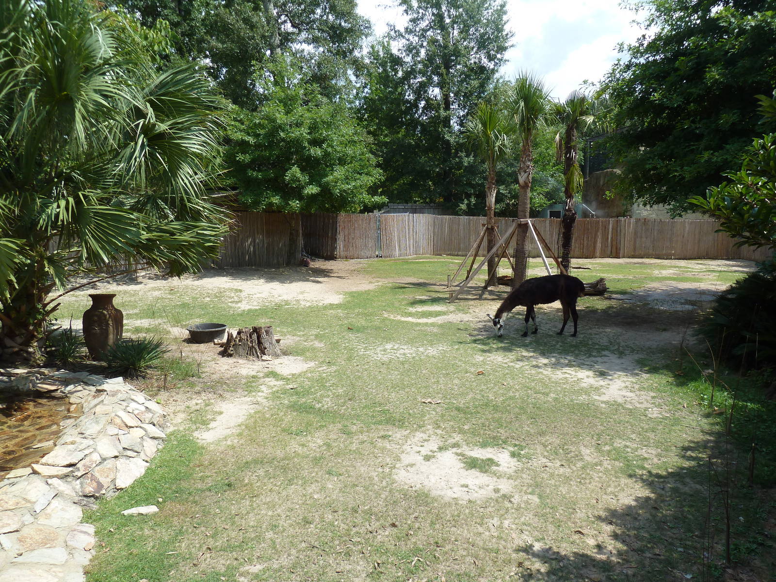 Baird's Tapir/Llama/Capybara Exhibit