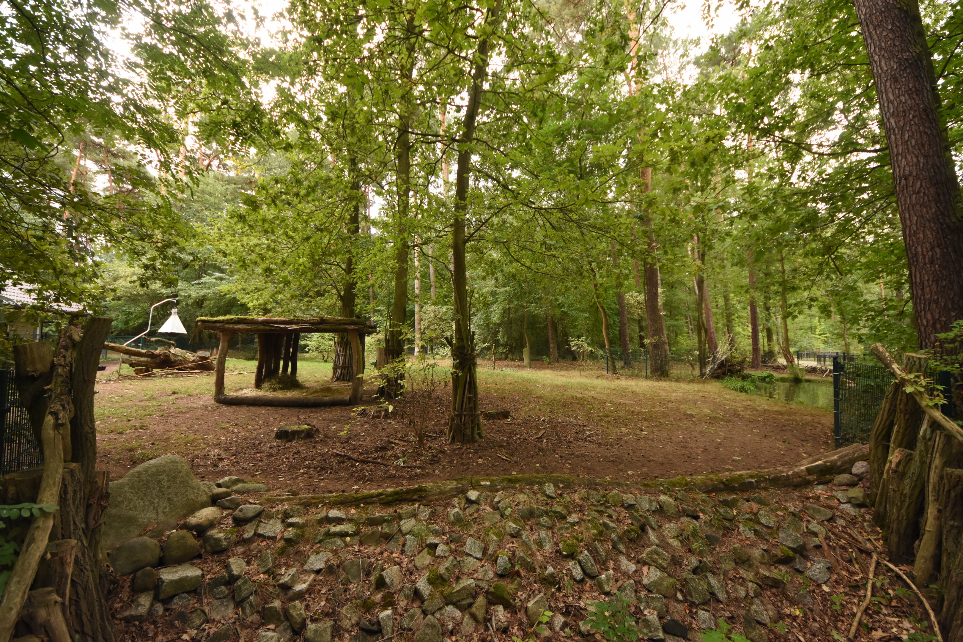 Baird's tapir outdoor enclosure