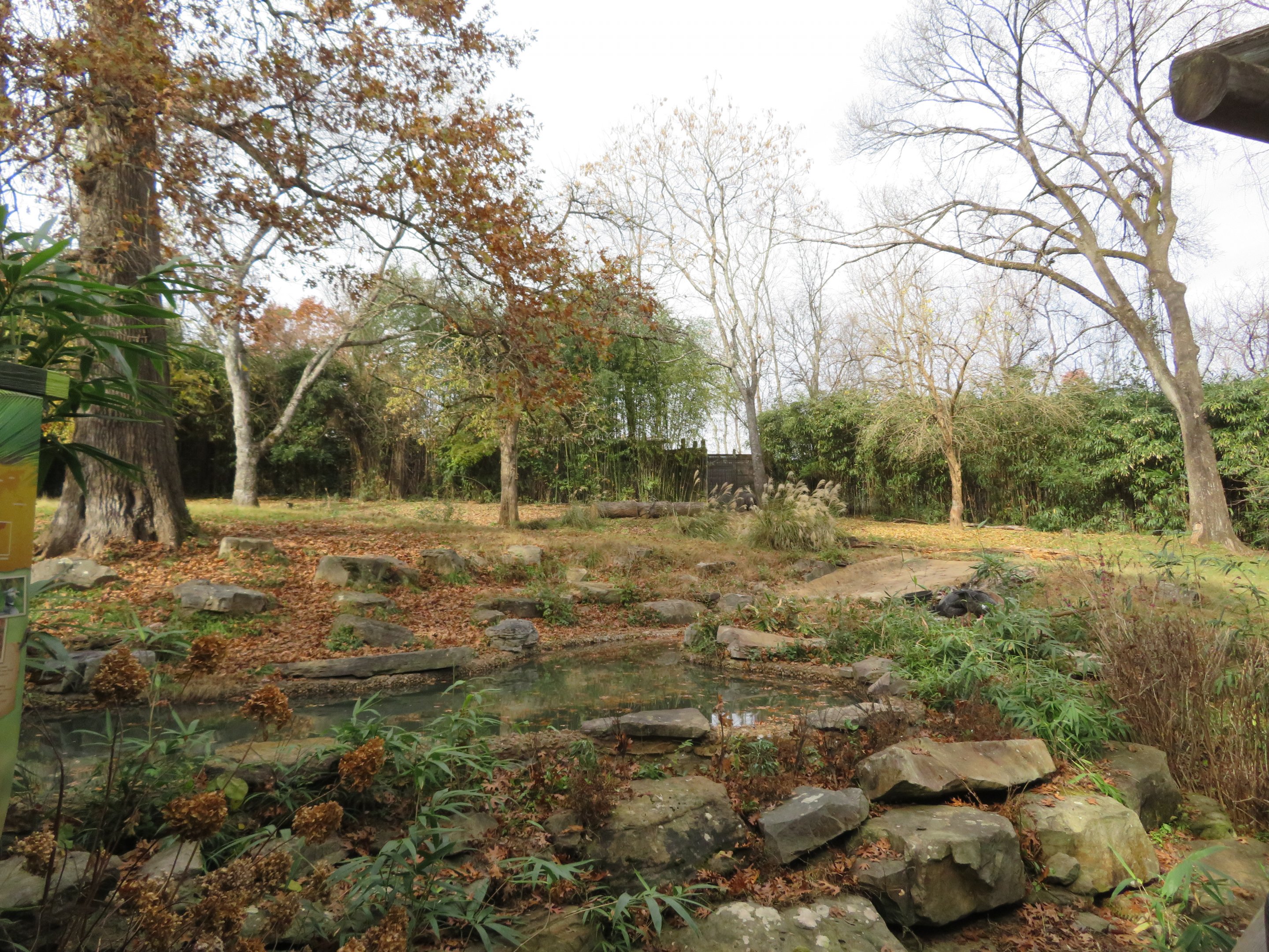 Baird's Tapir/Southern Screamer Exhibit