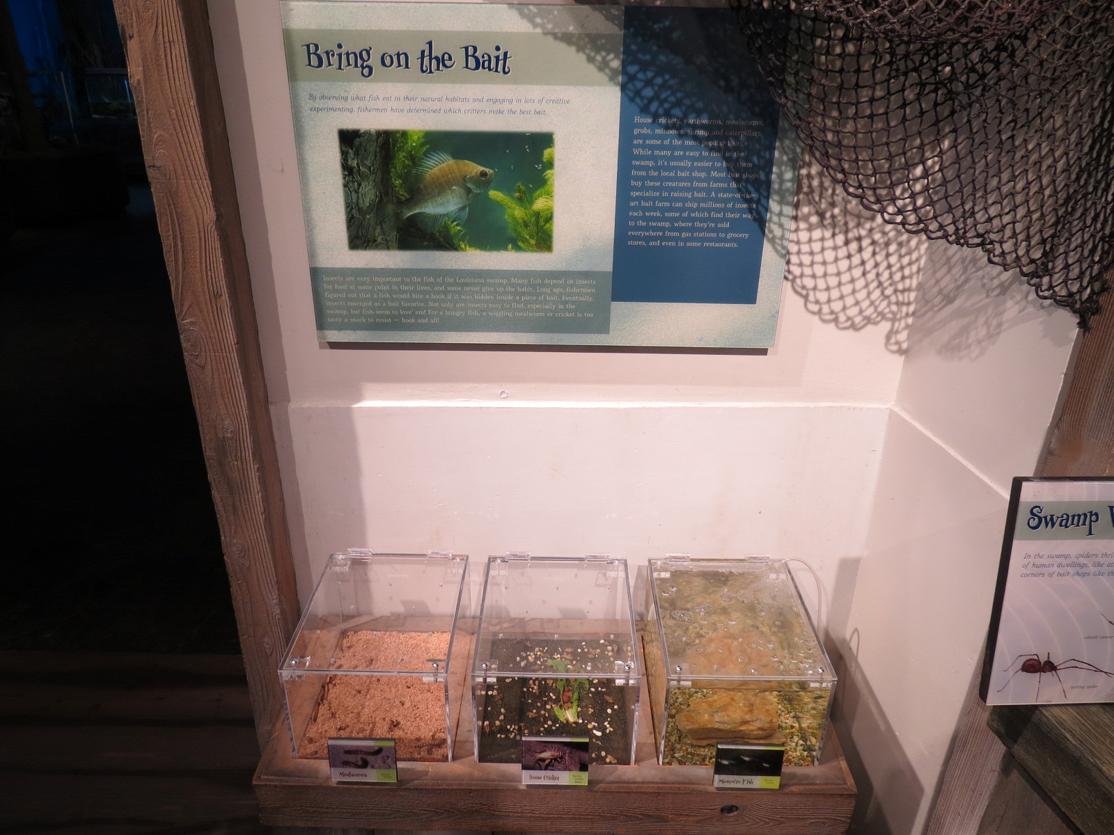 Bait Shop - Bait Exhibits