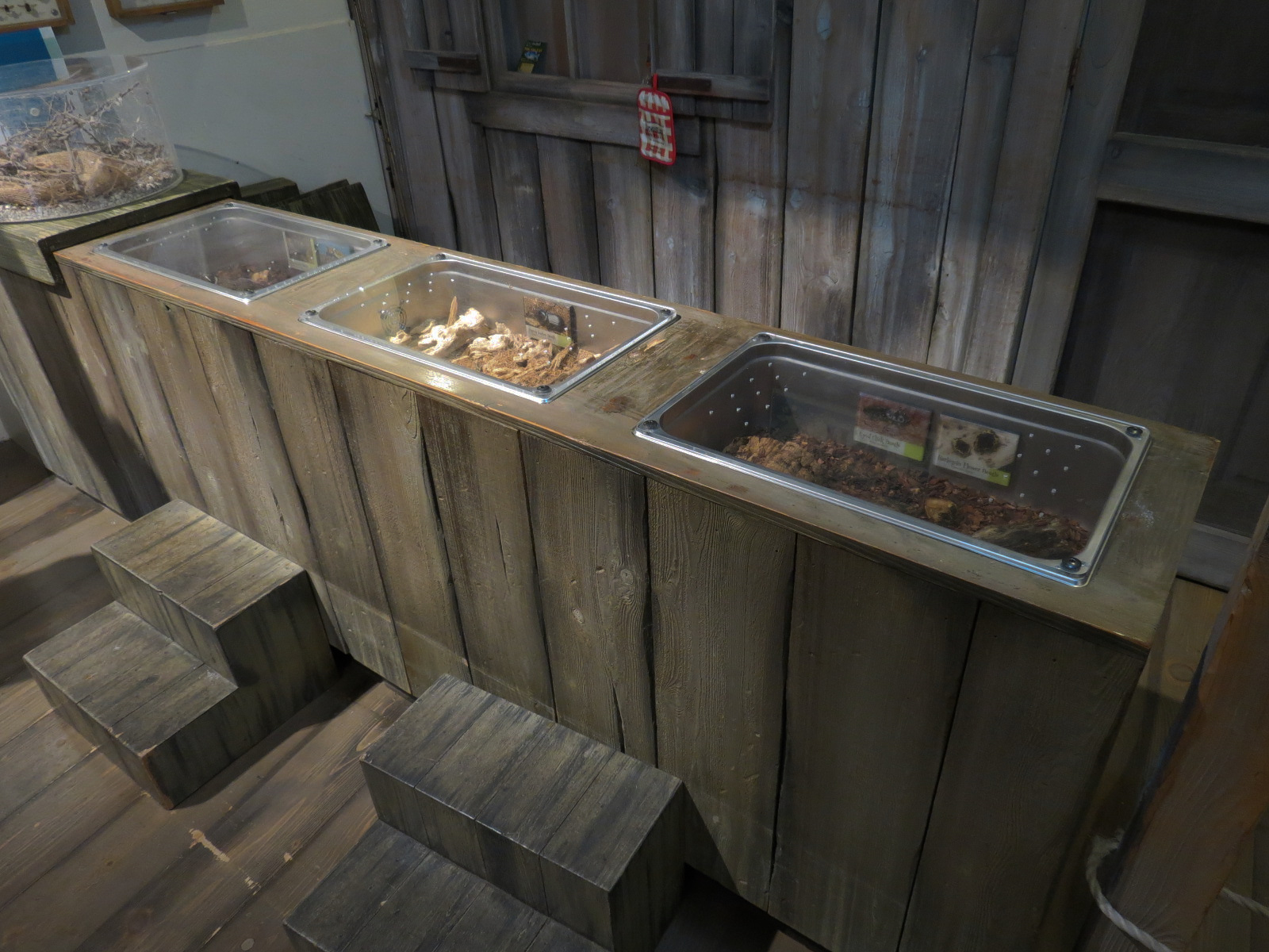 Bait Shop - Beetle Exhibits