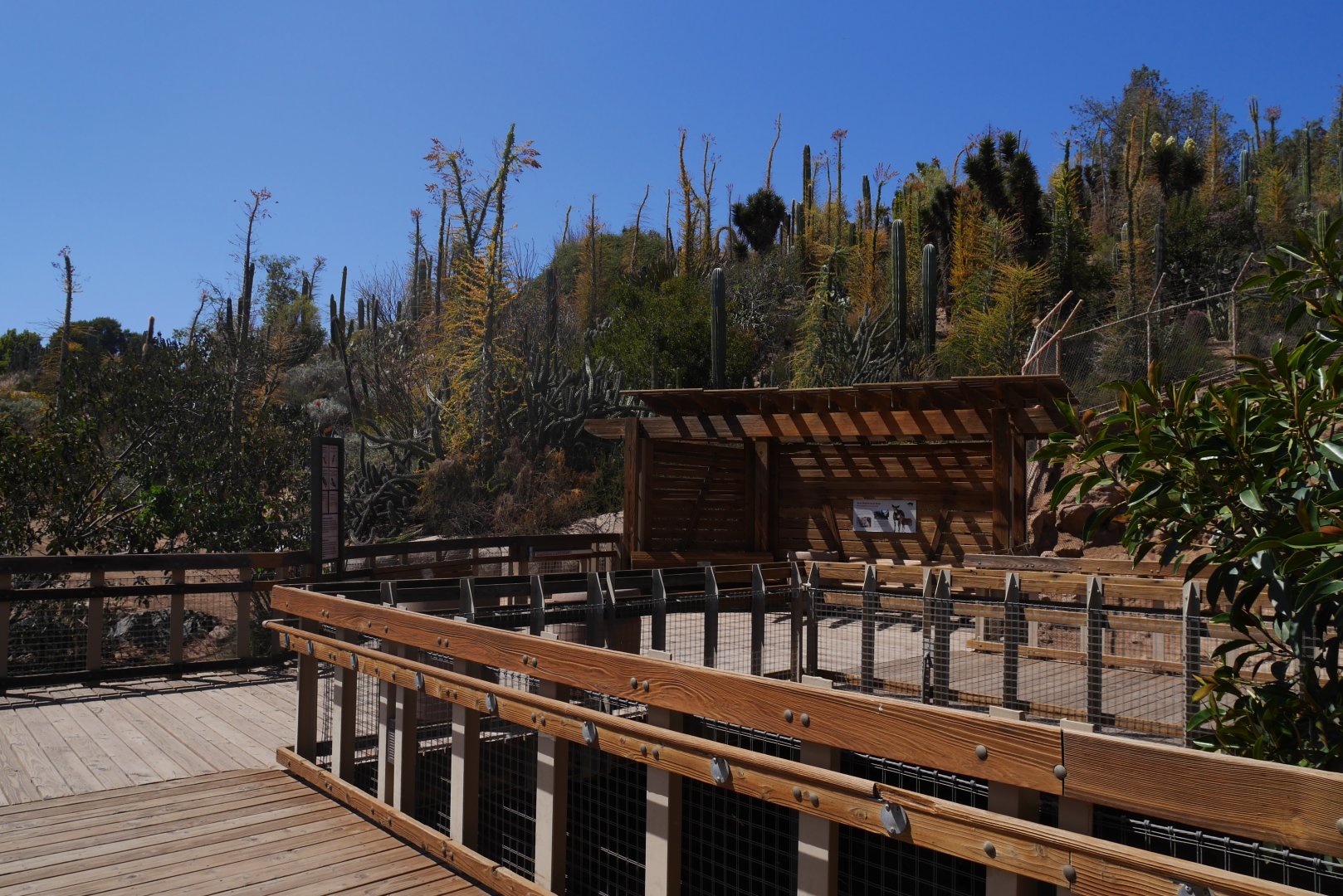 Baja Garden and Condor Ridge - My First US Zoo Trip